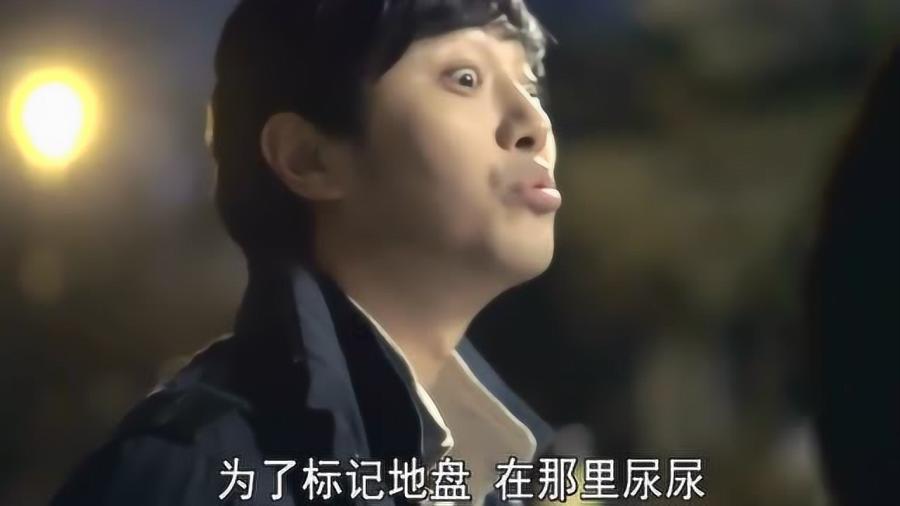 桑叶加生姜泡水喝,老一辈人留给我们的土方法,很多人都不知道