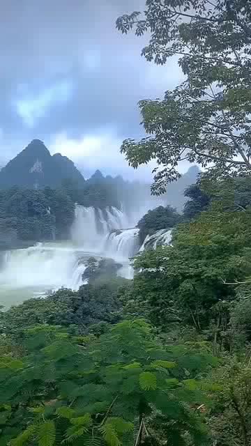 邻居的需求