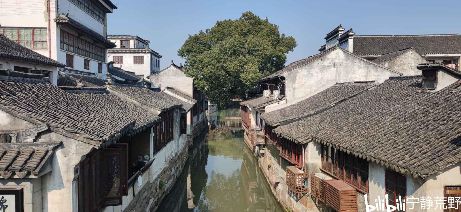 一文了解洗髓经功法奥秘